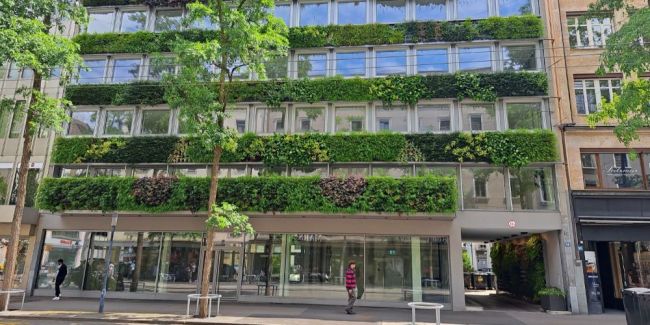 Millionenstreit um erste «Living Green Wall» in Zürich 